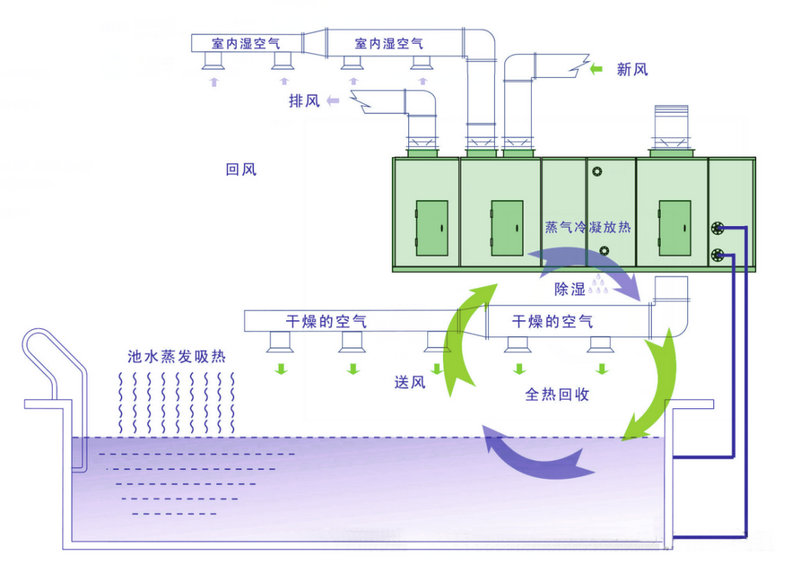 泳池专用三集一体热泵除湿机组